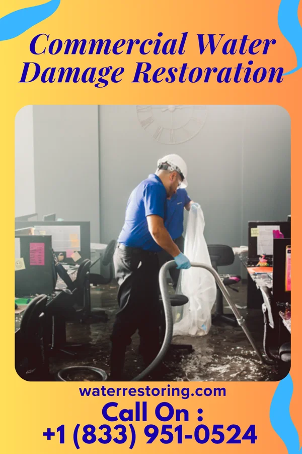 Commercial Water Damage Restoration in Ivesdale, IL