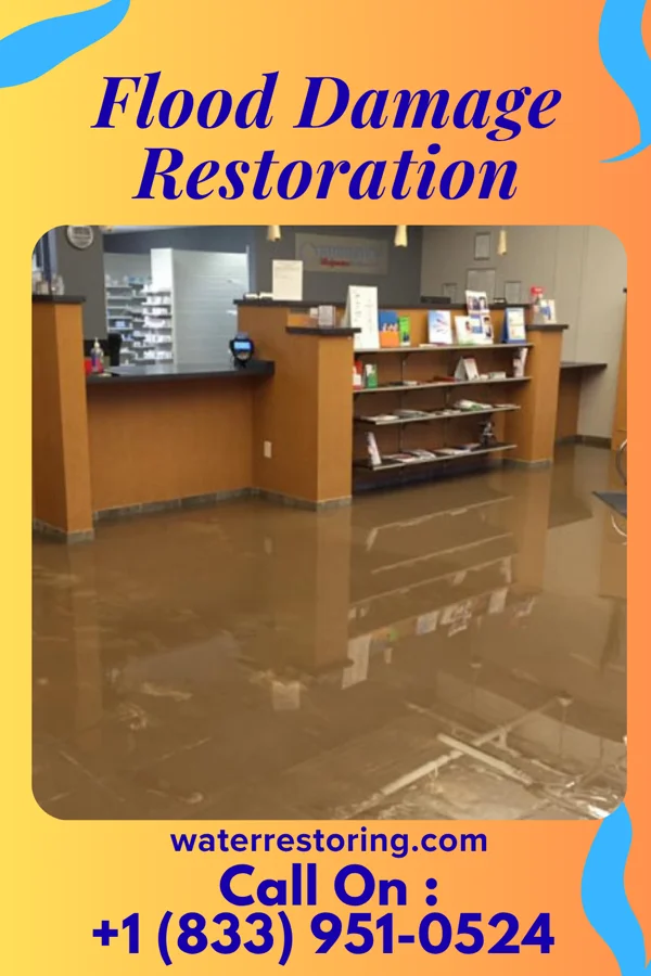 Flood Damage Restoration in Ivesdale, IL