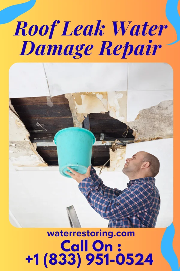 Roof Leak Water Damage Repair in Ivesdale, IL